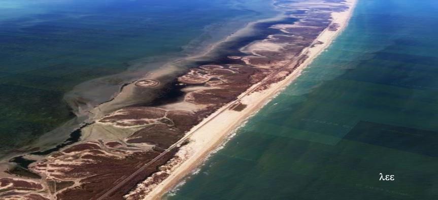 Appartement South Padre Stayz *