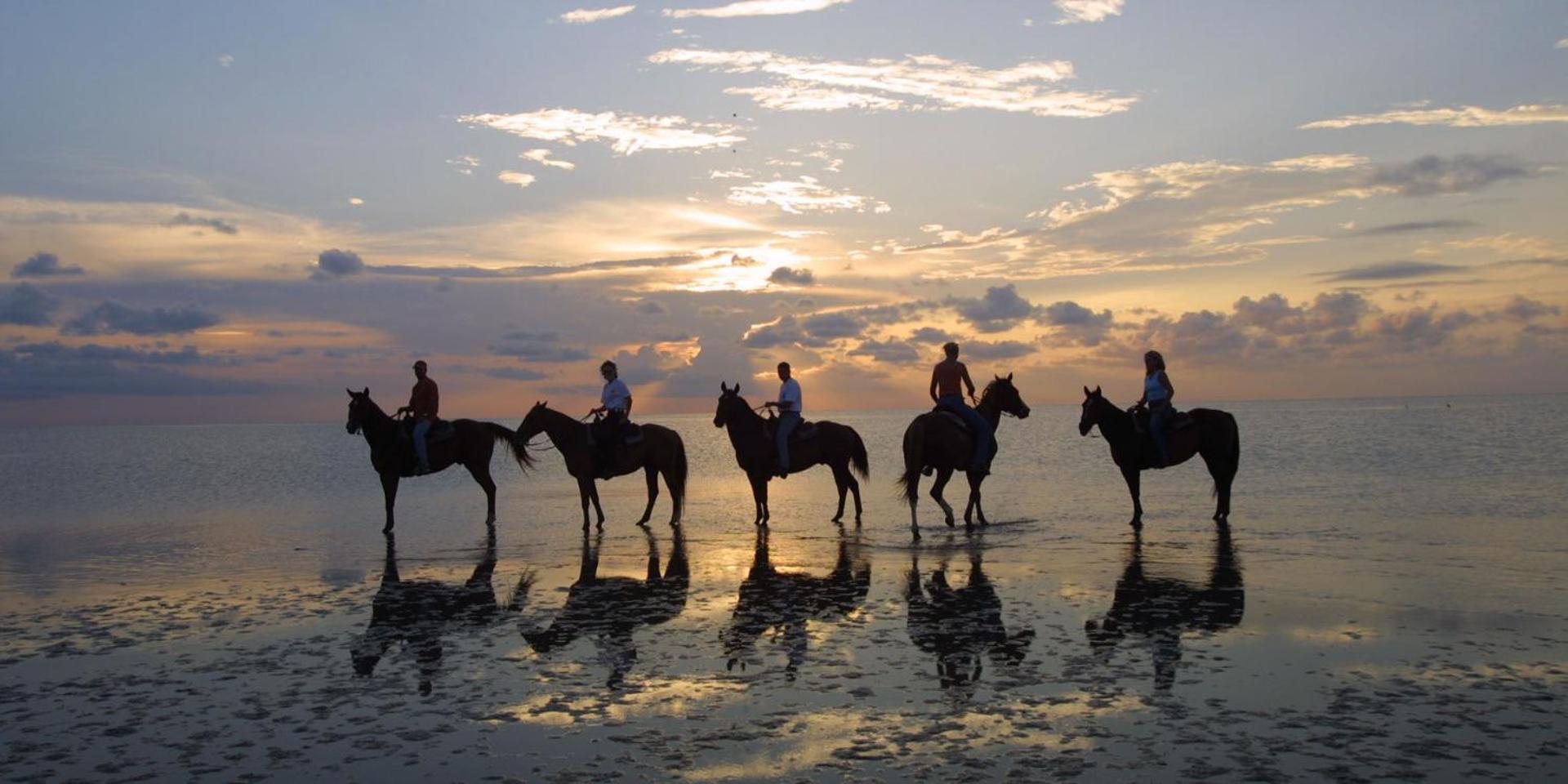 South Padre Stayz Appartement *